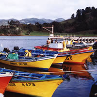 Noticias Confagan